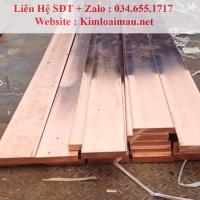 Đồng thanh cái 10x110mm