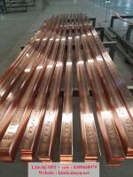 Đồng thanh cái 50x10